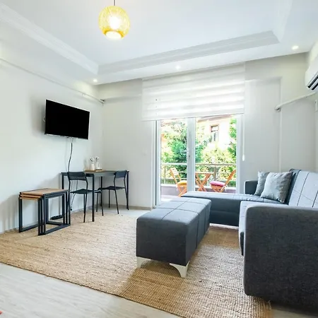 Flat With Balcony In Sapanca Sakarya Daire *