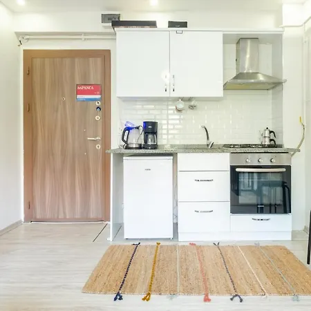 Daire Flat With Balcony In Sapanca Sakarya Sakarya (Marmara)