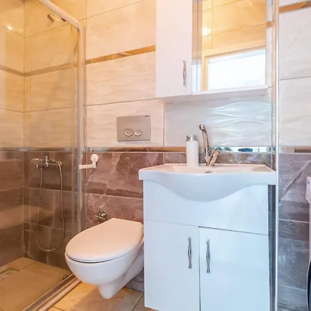 Daire Flat With Balcony In Sapanca Sakarya Sakarya (Marmara)
